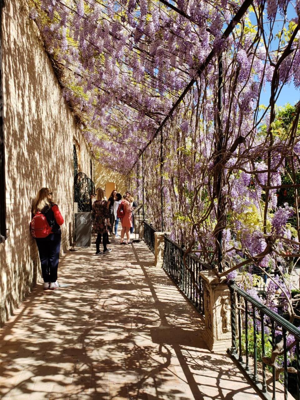 Apartamento Jardin De Santa Paula Seville Luaran gambar